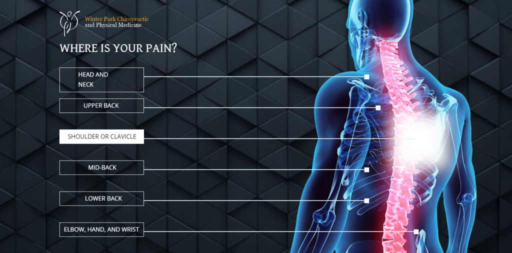 Winter Park Chiropractic Interactive Model